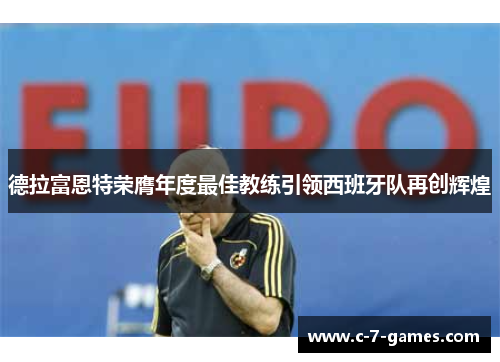 德拉富恩特荣膺年度最佳教练引领西班牙队再创辉煌