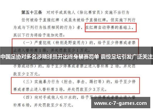 中国足协对多名涉赌球员开出终身禁赛罚单 震惊足坛引发广泛关注
